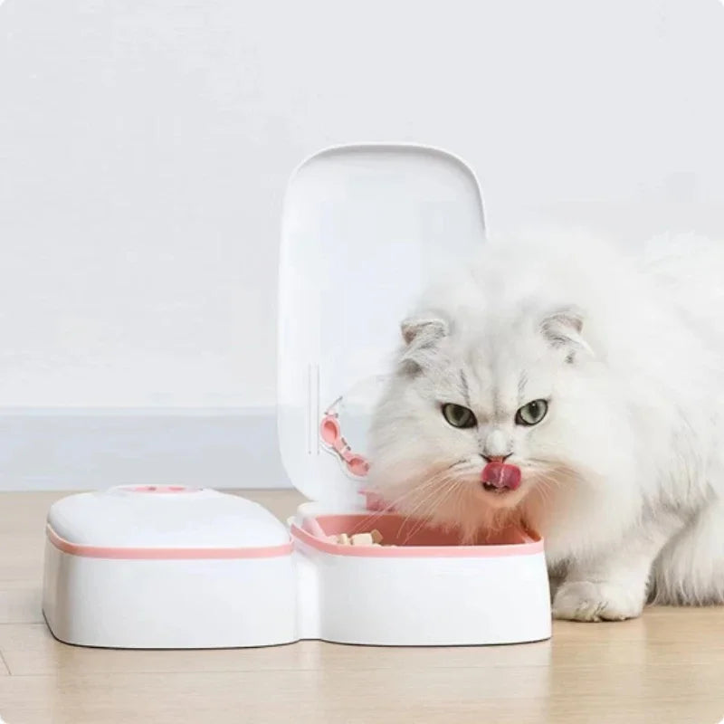 Dog Feeder Cat Automatic Feeding Water Bowl with Timer Pet Food
