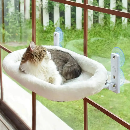 Cat Hammock Window Habitat Cat Sunbathing Glass Hanging