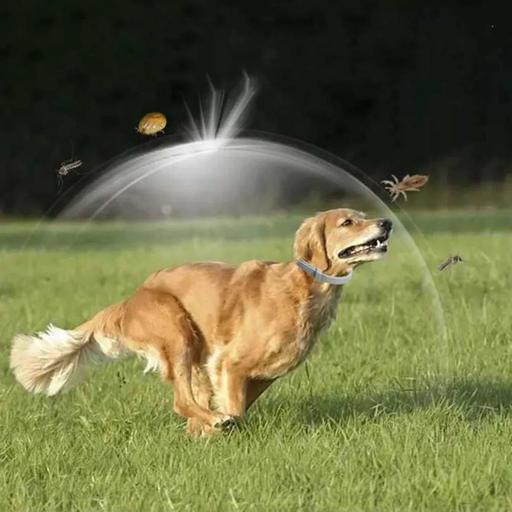 Pet Collars Soft Silicone Dog Collar Puppy Collar Cat Neck