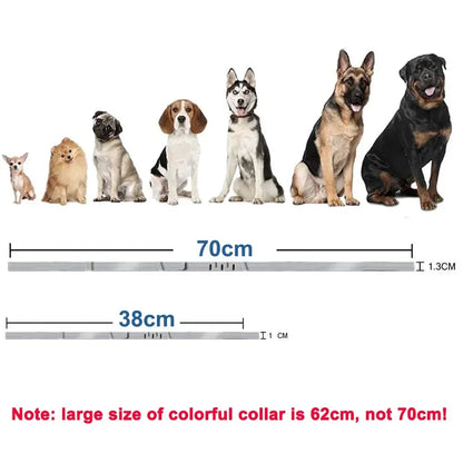 Pet Collars Soft Silicone Dog Collar Puppy Collar Cat Neck