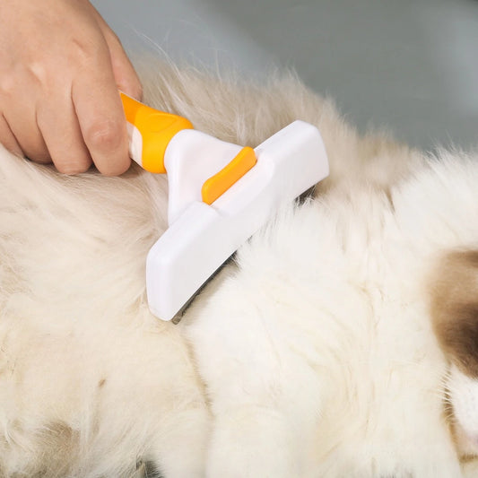 Dog Brush Cat Hair Care Grooming Accessories Supplies