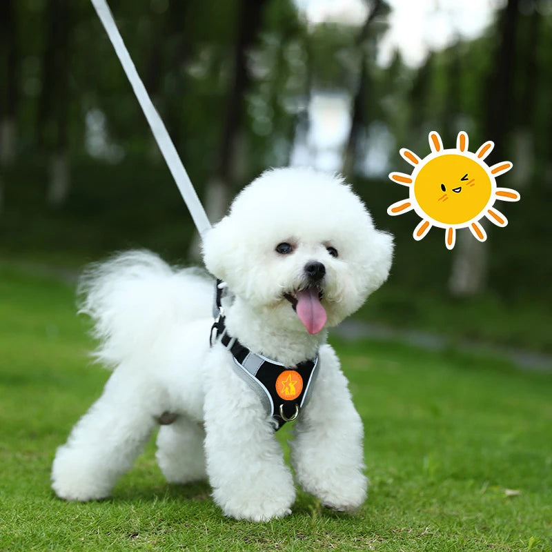 Adjustable Soft Padded Pet Vest Reflective Adjustable Puppy