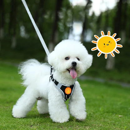 Adjustable Soft Padded Pet Vest Reflective Adjustable Puppy